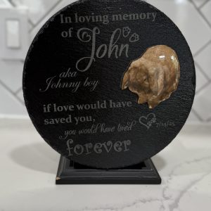 Memorial Pet Engraving Stone Custom)
