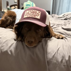 Custom Trucker/Baseball logo hat